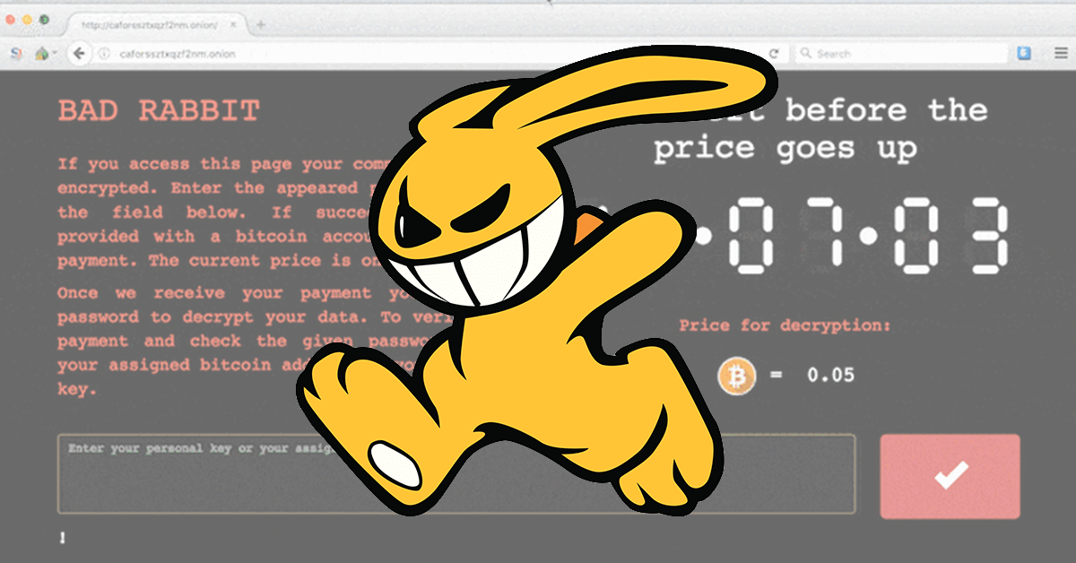 Bad rabbit. Компьютерный вирус Bad Rabbit. Плохой кролик вирус. Bad Rabbit фото.